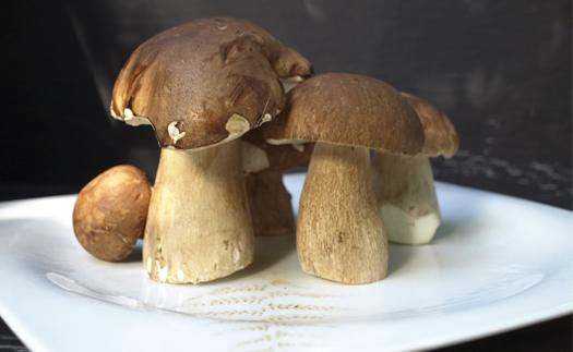 Noticia Receta de ensalada de hongos al natural